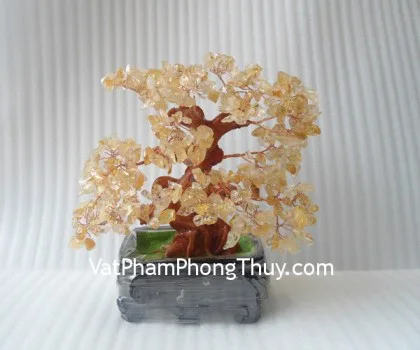 Cây thạch anh lục sắc thân bonsai chậu kiểu nhật mới (Phước) FKC117