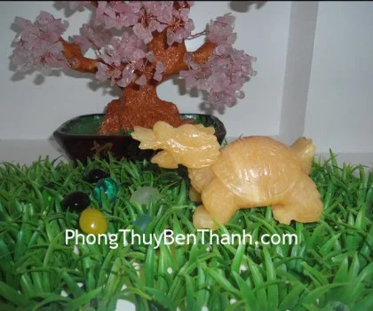 Rùa đầu rồng lam ngọc cõng con lớn FHM033