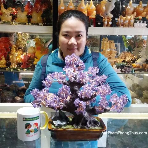 Chị Tiên - khách hàng mua Cây tài lộc thạch anh tím KC070