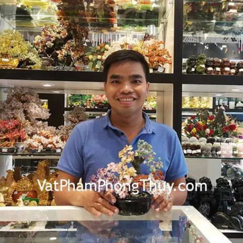Anh Thịnh - khách hàng mua cây tài lộc thạch anh nhiều màu KC083